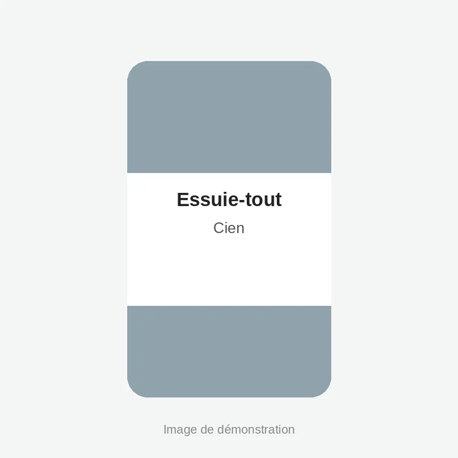 Essuie-tout